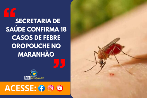 Secretaria de Saúde confirma 18 casos de febre oropouche no Maranhão