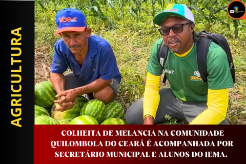 COLHEITA DE MELANCIA NA COMUNIDADE QUILOMBOLA DO CEARÁ É ACOMPANHADA POR SECRETÁRIO MUNICIPAL E ALUNOS DO IEMA.