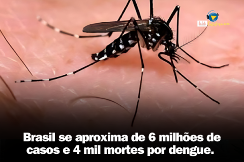 Brasil se aproxima de 6 milhões de casos e 4 mil mortes por dengue