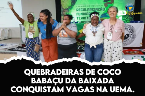 Quebradeiras de Coco Babaçu da Baixada Conquistam Vagas na UEMA