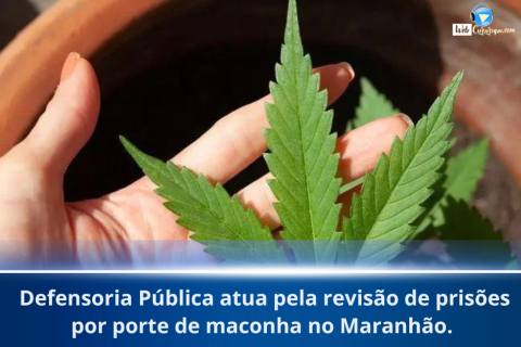 Defensoria Pública atua pela revisão de prisões por porte de maconha no Maranhão